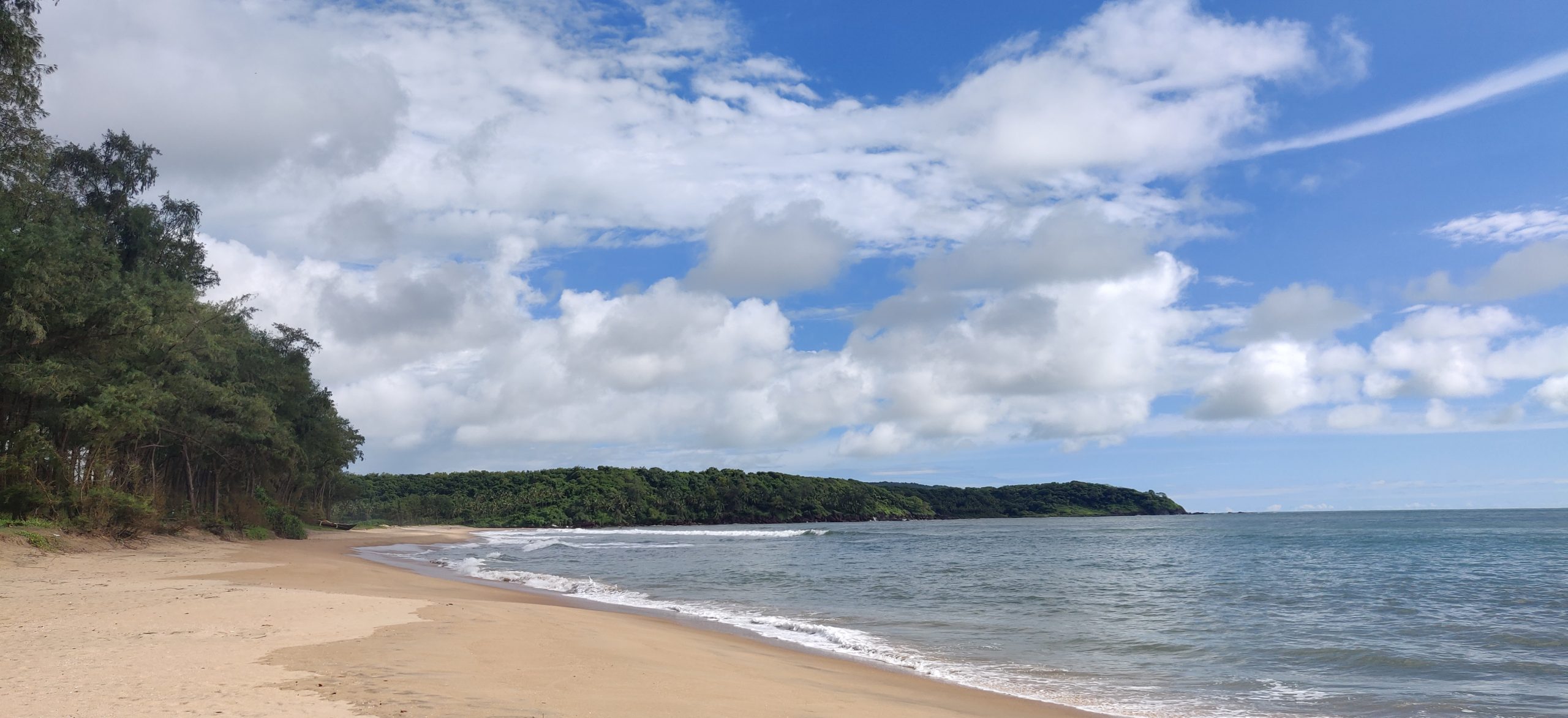 Galgibaga Turtle Beach South Goa