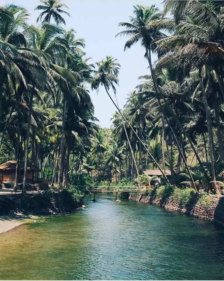Cola Beach Freshwater Lagoon South Goa