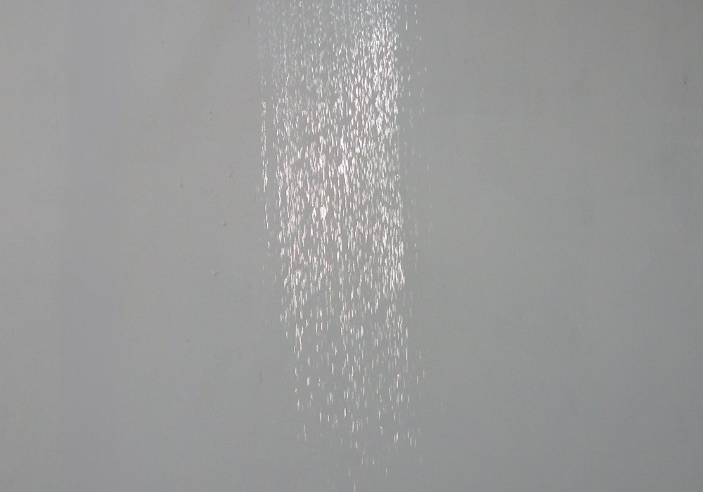 DSCF1634