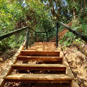 Hill steps