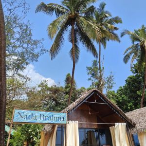 Huts front IMG_20241102_132225