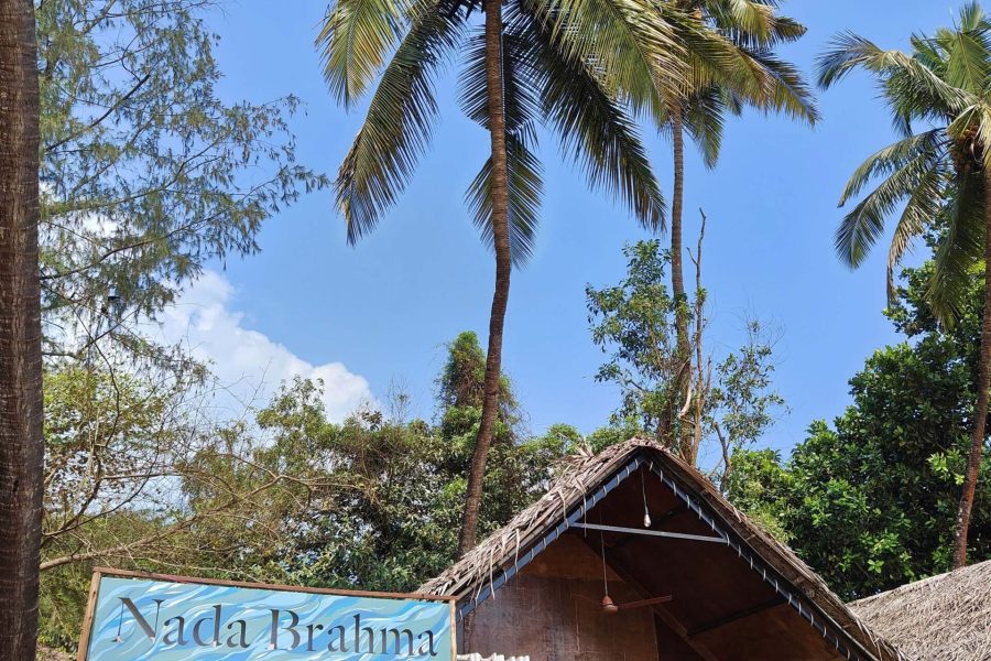 Huts front IMG_20241102_132225