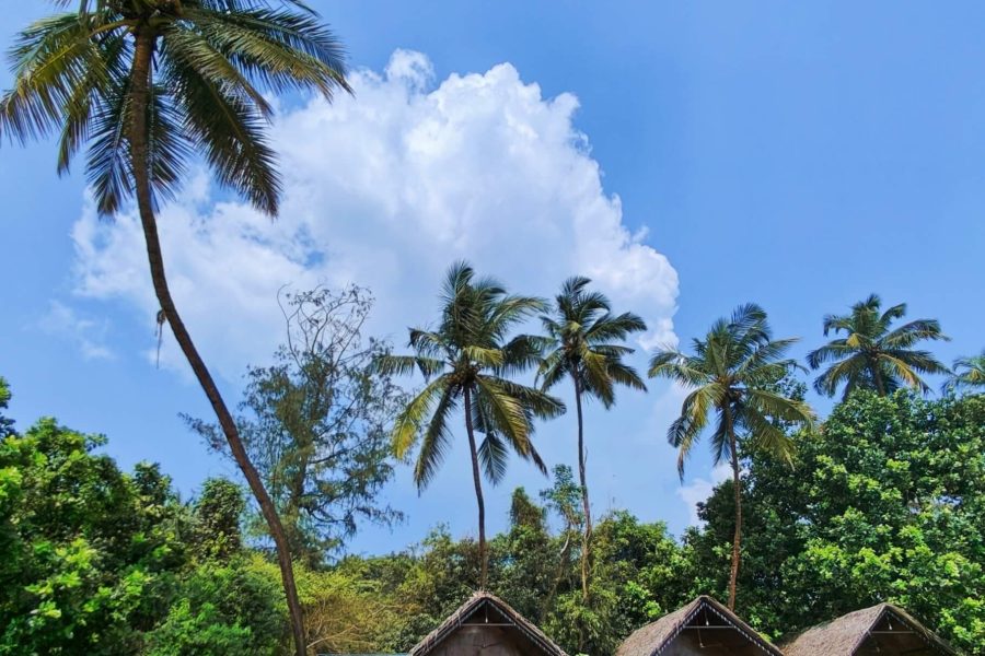 Huts front IMG_20241229_153938