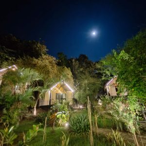 Huts garden IMG20241113190311