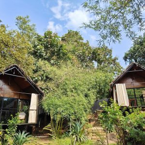 Huts garden IMG_20241105_123534