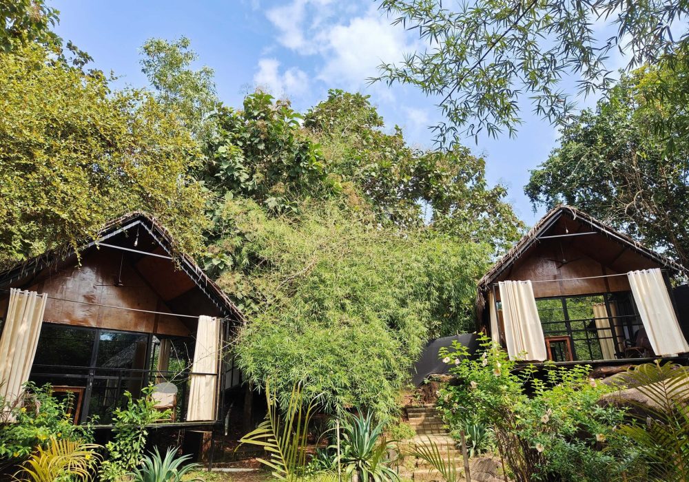 Huts garden IMG_20241105_123534