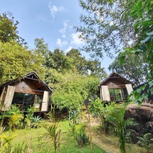 Huts garden IMG_20241105_123602