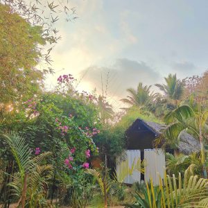 Huts garden IMG_20250223_192600