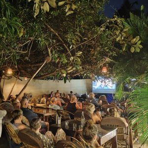 Movie IMG_20241111_210822