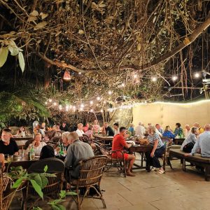 bar vibes IMG_20250115_224742