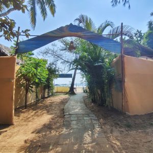 beach & view IMG_20241109_141058