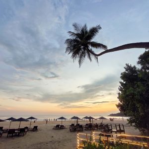 beach & view IMG_20241115_185815