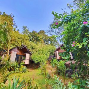 huts Garden IMG_20250218_092138