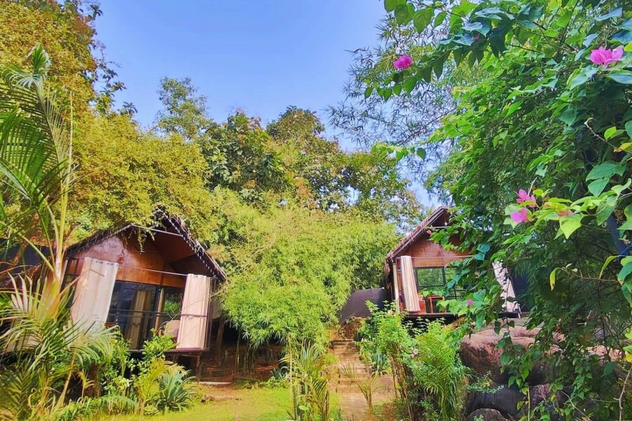 huts Garden IMG_20250218_092138