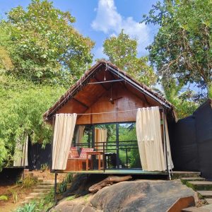 huts Garden IMG_20250218_161856