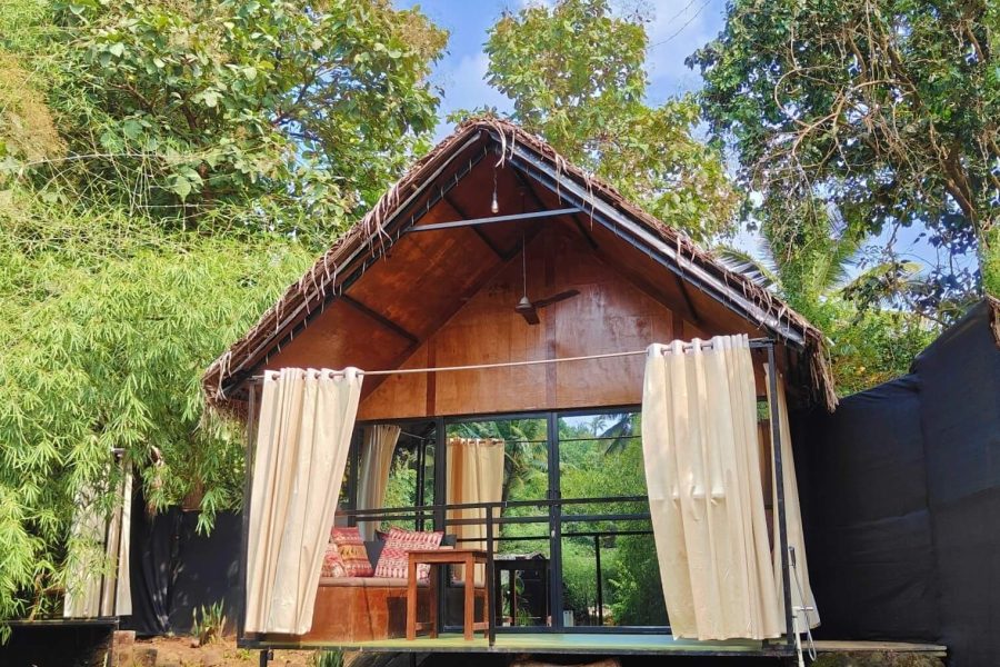 huts Garden IMG_20250218_161856