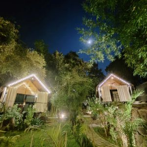 huts Garden IMG_20250218_175847