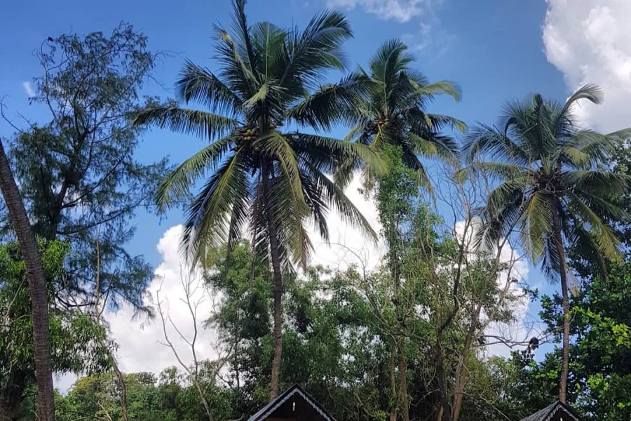 huts front bridge blue sky palms trees