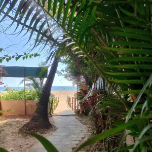 view beach bridge